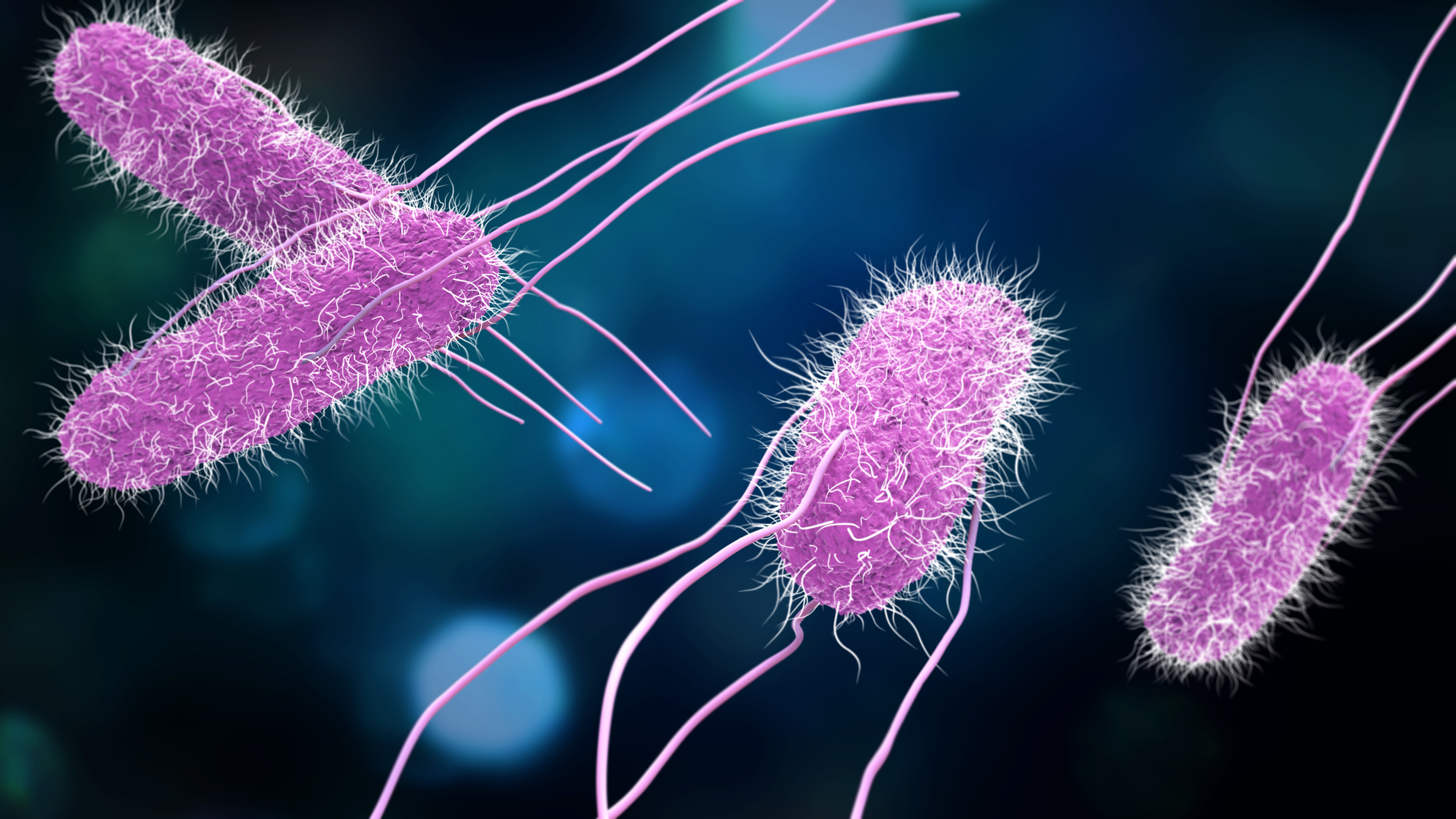Diseases Caused By Microorganisms: Types, Symptoms & Prevention